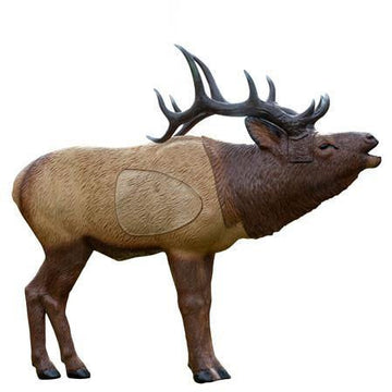 1-3 Scale Woodland Elk - James River Archery